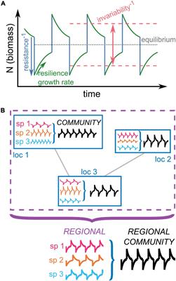 Spatial and Ecological Scaling of Stability in Spatial Community Networks